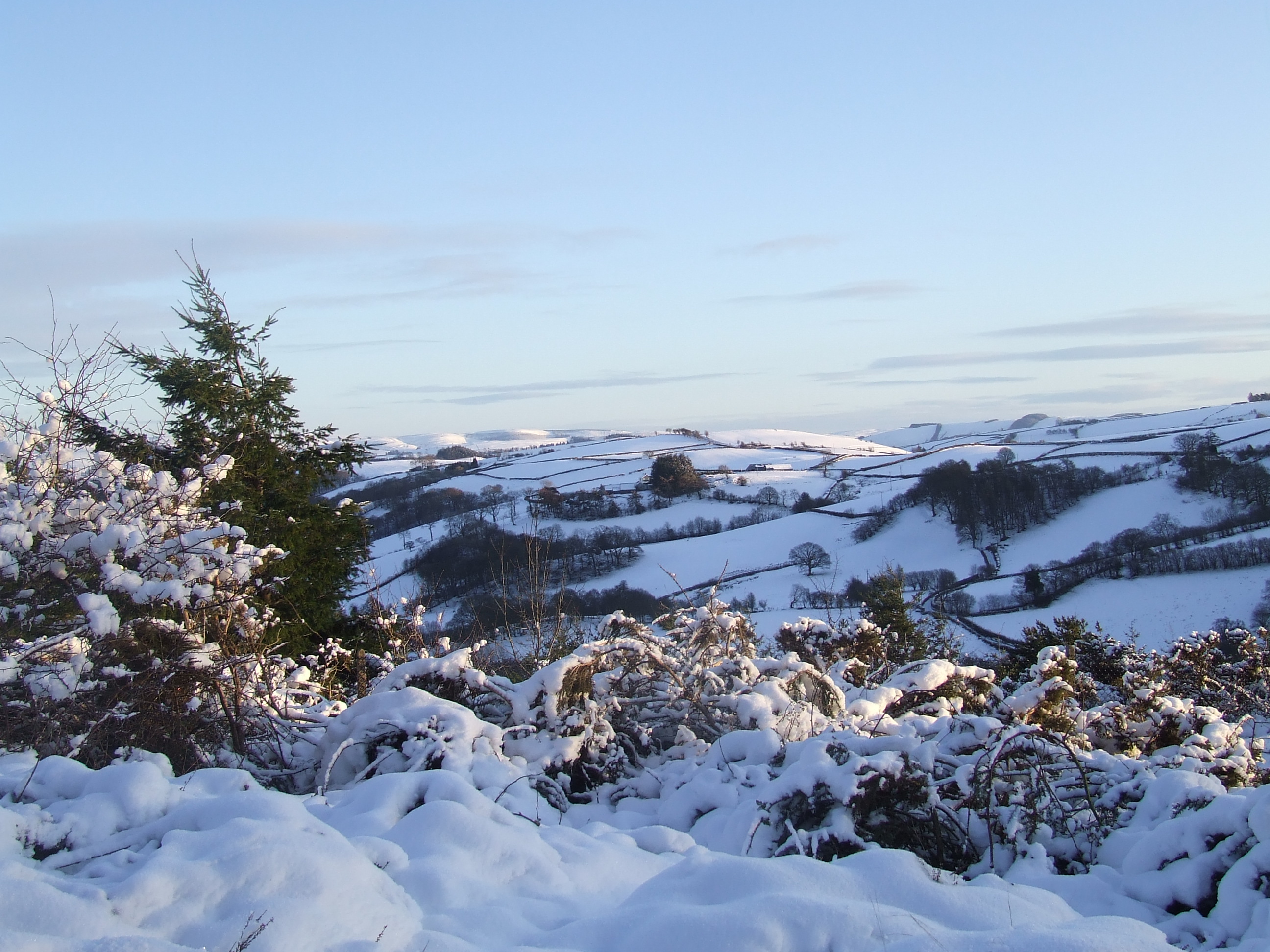 CLYWEDOG WINTER SCENE Bill Bagley Photography